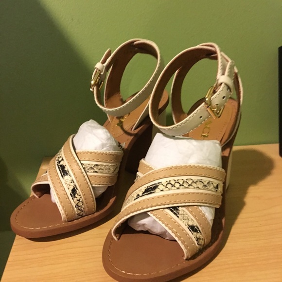 💯 NWOB Coach Lennon shoes - Picture 2 of 4